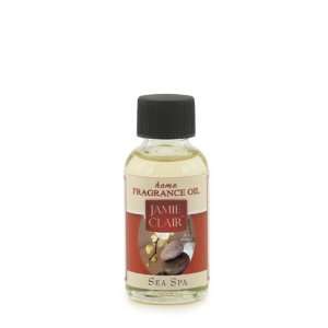    Candle Warmers 8040 Sea Spa Fragrance Oil 1oz: Everything Else