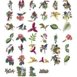  Tropical Birds and Blooms Embroidery Designs by Nancy 
