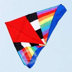   big rainbow kite triangle kite delta 10pcs/lot easy to fly children