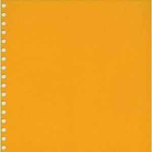   Double Acid Free Sheets, Sun Yellow (495D01)