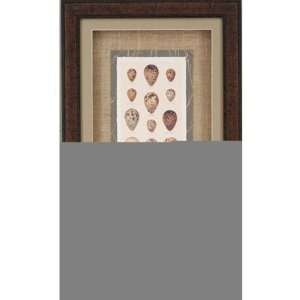Egg Collage Framed Wall Art (Set of 2) by Paragon:  Home 