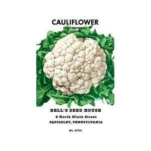  Cauliflower Early Snowball 28x42 Giclee on Canvas
