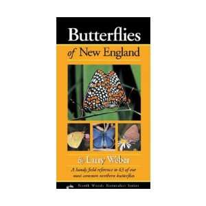  Butterflies New England FG (Books) (Butterfly) Everything 