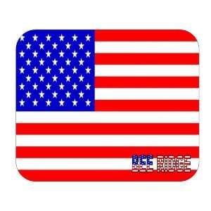  US Flag   Bee Ridge, Florida (FL) Mouse Pad Everything 