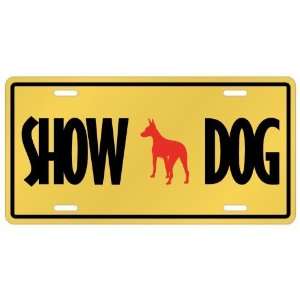   American Hairless Terrier / Show Dog  License Plate Dog: Home