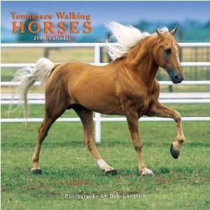  Tennessee Walking Horses 2008 Wall Calendar: Office 