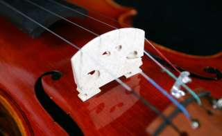 BIRD EYES Copy Strad Violin! #0819 PRO  