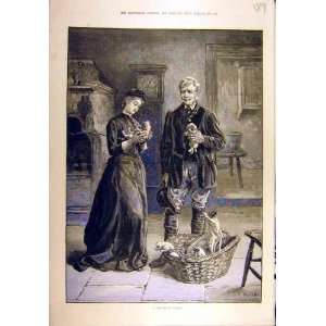   1887 Promising Litter Dogs Puppies Terrier Dadd Print: Home & Kitchen