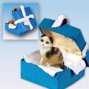   & White Scottish Fold Blue Gift Box Cat Ornament: Home & Kitchen