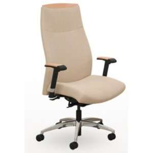   Protocol PT5655T High Back Executive Ergonomic Office Chair: Office