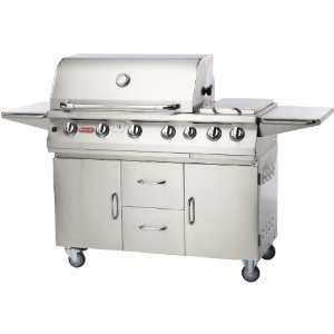   burner Stainless Steel Propane Gas Grill On Cart: Patio, Lawn & Garden