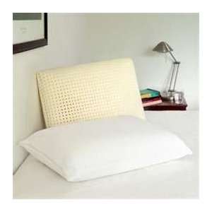   Memory Foam Pillow Covered in a Soft Bamboo Cover: Home & Kitchen