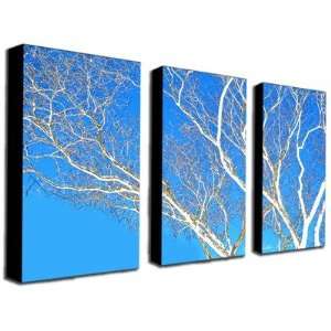  Spring Tree by Kathie McCurdy Canvas Art (Set of 3): Home 