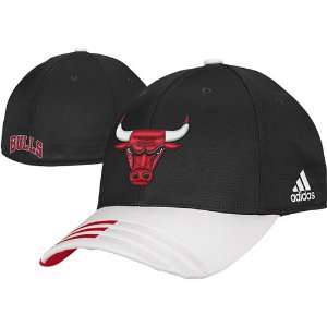  Chicago Bulls 2010 2011 Official Team Flex Fit Cap: Sports 