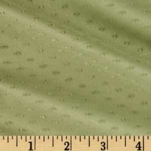  56 Wide Cotton Lawn Swiss Dot Green Tea Fabric By The 