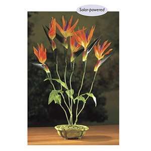  Potpourri Solar Birds of Paradise Light Patio, Lawn 