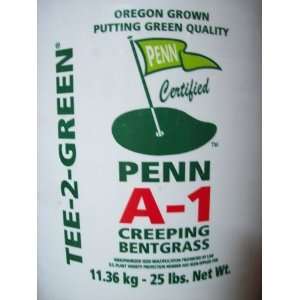  PENN A 1 BENTGRASS SEED: Patio, Lawn & Garden