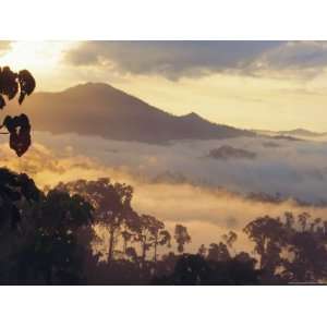  Dawn in the Danum Valley Conservation Area, Sabah, Malaysia 