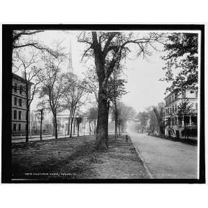  Oglethorpe Avenue,Savannah,Ga.: Home & Kitchen