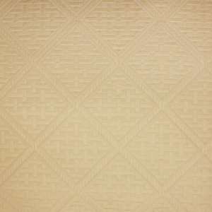  A1856 Straw by Greenhouse Design Fabric: Arts, Crafts 