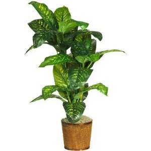Nearly Natural 5 Dieffenbachia Silk Plant (Real Touch):  