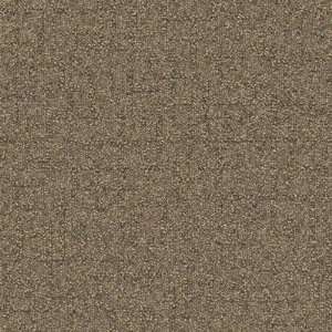   177038 Beech Tree Lane Square Carpet Tile in Shining