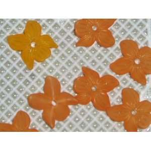    Matte Pumpkin Lucite Viola Flower Beads Arts, Crafts & Sewing