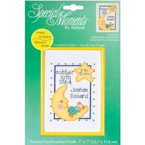  Janlynn Special Moments Celestial Birth Mini Counted Cross 