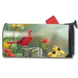   MailWraps Magnetic Mailbox Cover   Summer Cardinal: Home Improvement