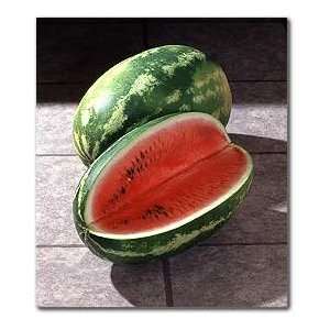  Watermelon Cal Sweet Great Heirloom Garden Vegetable 100 Seeds 