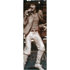 Mick Jagger (Door Poster) Music Poster Print   77 X 27  
