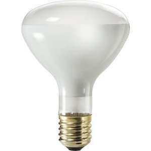  500 Watt R40 Philips Reflector Flood Light Bulb: Home 