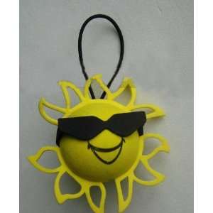  Sunglasses Sun w/ Lanyard Car Truck SUV Antenna Topper 