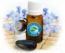 Pure Essential Oil 15ml (1/2oz) *Buy 3 Get 1 Free*  