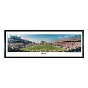   of South Carolina End Zone 616 Piece Jigsaw Puzzle: Toys & Games