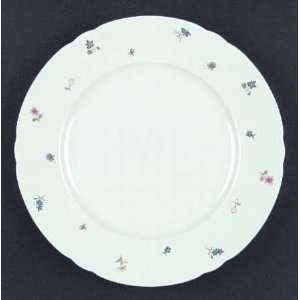  Seltmann Elizabeth Large Dinner Plate, Fine China 