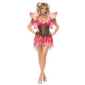  Rose Fairy Adult Costume: Health & Personal Care