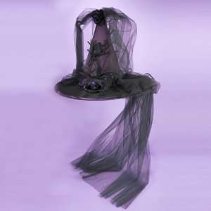   Witch Hats with Crow Design and Black Tulle Veil 18.5