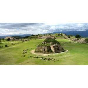  Monte Alban   Peel and Stick Wall Decal by Wallmonkeys 