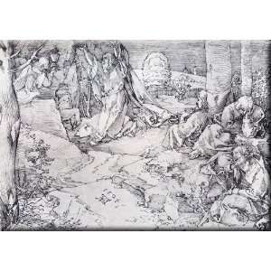   Of Olives 16x11 Streched Canvas Art by Durer, Albrecht