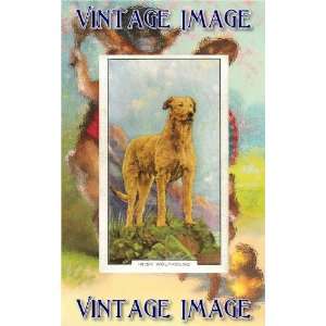  6 x 4 (15cm x 10cm) Art Greetings Card Dogs Irish 