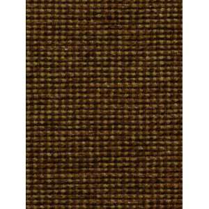  Small Spaces Walnut by Robert Allen Fabric