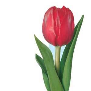  Red Tulip Small Wall Decal
