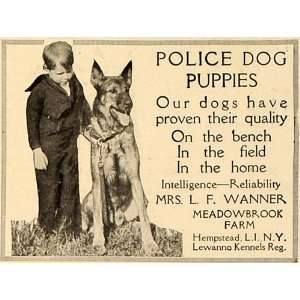   Farm Police Dog Hempstead   Original Print Ad