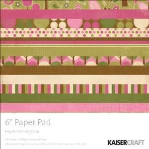  Hey Birdie Paper Pad 6X6  Arts, Crafts & Sewing