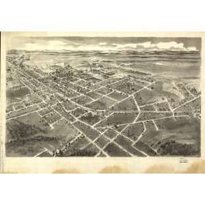   view of Hickory, North Carolina. Drawn by A. E. Downs.: Home & Kitchen