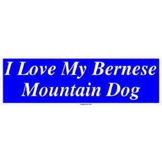  I Love My Bernese Mountain Dog Large Bumper Sticker 