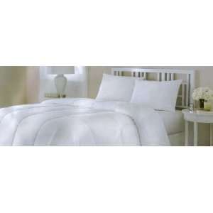  Down Lite Down Alternative Comforter and Pillow Set Twin 