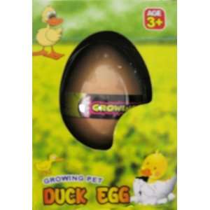  Hatching Duck Egg: Toys & Games
