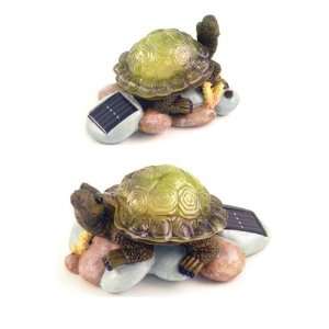  Solar Power Garden Turtle: Patio, Lawn & Garden
